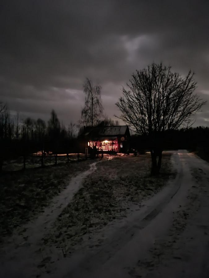 Musketeers Cabin Porumbacu de Sus Exterior foto